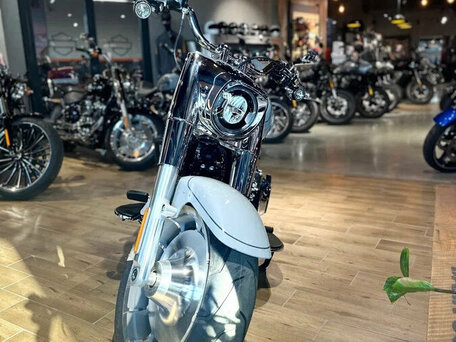 2025 Harley-Davidson Fat Boy, серебристый, 3850000 рублей, вид 5