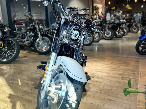 2025 Harley-Davidson Fat Boy, серебристый, 3850000 рублей - вид 4