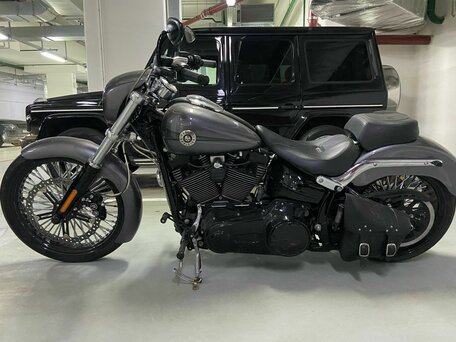 2015 Harley-Davidson Breakout, серый, 3000000 рублей, вид 3