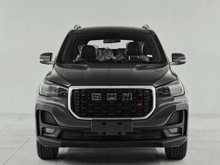 2024 SWM G05 Pro, серый, 1875000 рублей, вид 2