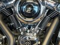 2025 Harley-Davidson Heritage, чёрный, 3850000 рублей - вид 11