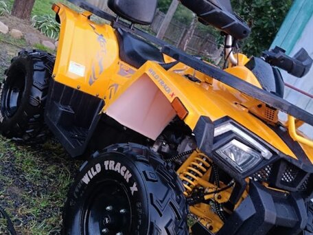 2023 Motoland Wild Track 200, жёлтый, 170000 рублей, вид 4