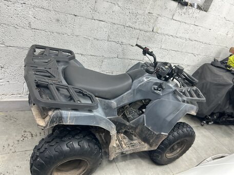 2024 Loncin 200, серый, 200000 рублей, вид 3