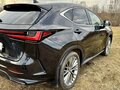 2023 Lexus NX 350 II, чёрный, 6500000 рублей - вид 10