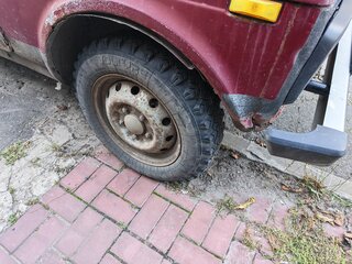 1991 Lada (ВАЗ) 2121 (4x4) I, красный, 170000 рублей, вид 5