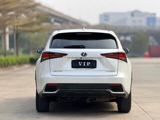 2022 Lexus NX 250 II, белый, 2900000 рублей, вид 5