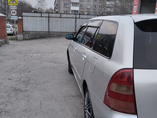 2004 Toyota Corolla Fielder IX (E120, E130) Рестайлинг, серый, 587000 рублей, вид 4
