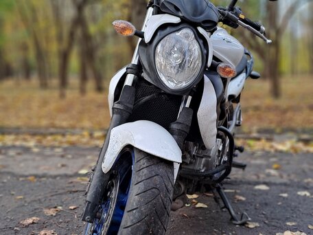 2015 Suzuki SFV 650 Gladius, синий, 501000 рублей, вид 2