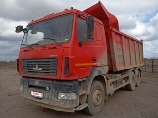 2020 МАЗ 6501, красный, 2551700 рублей, вид 1
