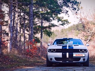 2018 Dodge Challenger III Рестайлинг 2, белый, 3800000 рублей, вид 1