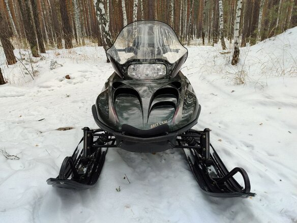 2001 Arctic Cat Panther, зелёный, 550000 рублей - вид 2