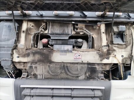 2013 DAF XF 105, белый, 2600000 рублей, вид 3