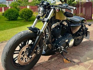 2021 Harley-Davidson Forty-Eight, зелёный, 990000 рублей, вид 1