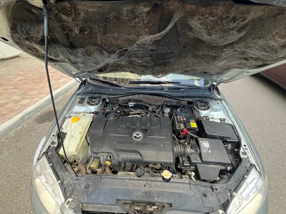 2004 Mazda 6 I (GG), серебристый, 200000 рублей - вид 10
