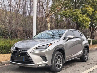 2020 Lexus NX 200 I Рестайлинг, серебристый, 2550000 рублей, вид 1