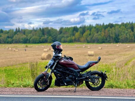 2024 Benelli 502 C, красный, 535000 рублей, вид 2