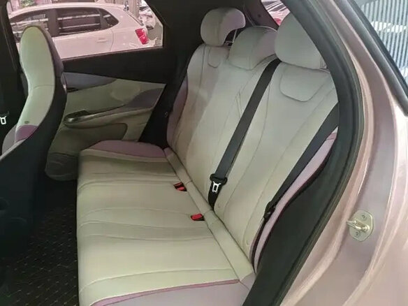 2022 BYD Dolphin 44.9 kWh I, розовый - вид 15