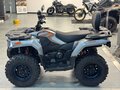 2022 Loncin XWolf 300, серебристый, 320000 рублей - вид 1