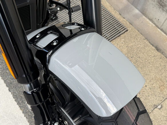 2024 Harley-Davidson Fat Bob, серый, 1700000 рублей - вид 7