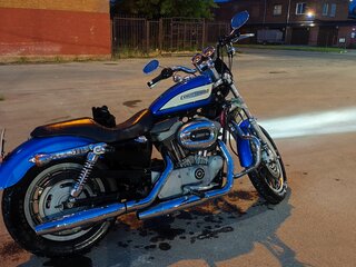 2004 Harley-Davidson Sportster 1200, синий, 560000 рублей, вид 2