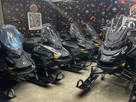 2025 BRP Ski-Doo Skandic LE 900 ACE, серебристый, 2200000 рублей, вид 1