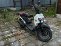 2004 Honda Zoomer, чёрный, 80000 рублей - вид 7