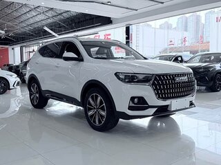 2023 Haval H6 III, белый, 1290000 рублей, вид 3