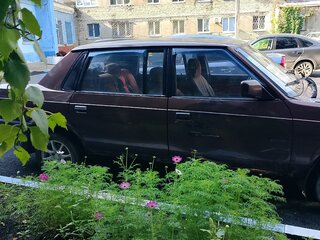 1998 Москвич Князь Владимир 2142-164, коричневый, 70000 рублей, вид 5