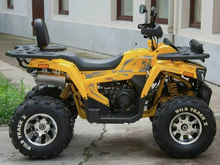 2025 Motoland Wild Track 200 X Pro, жёлтый, 215100 рублей, вид 2