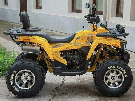 2025 Motoland Wild Track 200 X Pro, жёлтый, 215100 рублей, вид 2