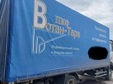 2004 МАЗ 4370, белый, 600000 рублей, вид 4