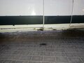 2011 Fiat Professional Ducato, белый, 900000 рублей - вид 8