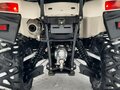 2013 Stels ATV-600, белый, 620000 рублей - вид 8