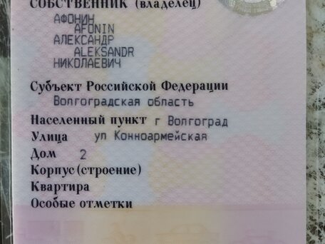2005 Harley-Davidson Sportster 1200, красный, 650000 рублей, вид 3