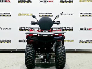 2025 Bison 250U, красный, 309900 рублей, вид 4