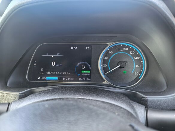 2018 Nissan Leaf II (ZE1), красный, 1830000 рублей - вид 11