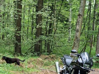 2008 Honda CB 1300, чёрный, 590000 рублей, вид 1