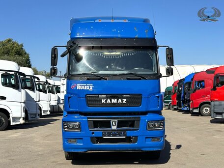 2020 КамАЗ 5490, синий, 3200000 рублей, вид 2