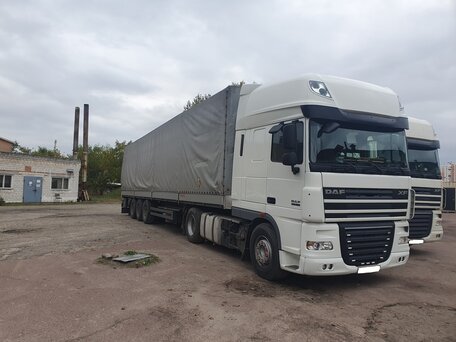 2011 DAF XF 105, белый, 4900000 рублей, вид 2