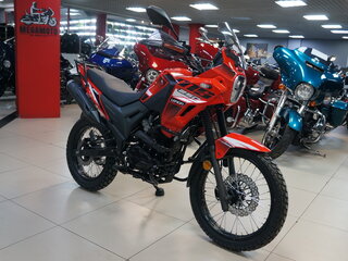 2025 Loncin MS250, красный, 179900 рублей, вид 5