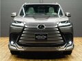 2024 Lexus LX 600 IV, коричневый