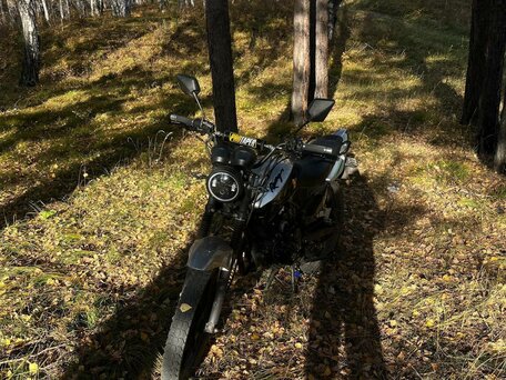 2024 Racer Tiger, серый, 100000 рублей, вид 1