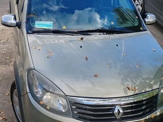 2011 Renault Sandero Stepway I, бежевый, 550000 рублей, вид 1