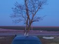 1996 Audi A4 I (B5), синий, 340000 рублей - вид 2
