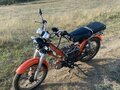 2010 Racer Alpha, чёрный, 25000 рублей - вид 1