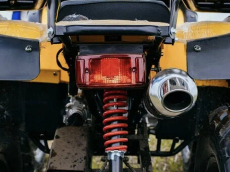 2025 Tiger Max Grade 300, жёлтый, 314400 рублей, вид 5