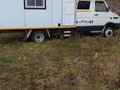 1994 Iveco Daily, белый, 1100000 рублей