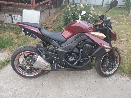 2010 Kawasaki Z 1000, коричневый, 420000 рублей, вид 1