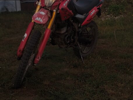2015 Bars YQ250GY-18V, красный, 80000 рублей, вид 3