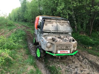 1992 ЛуАЗ 969М, коричневый, 395000 рублей, вид 3